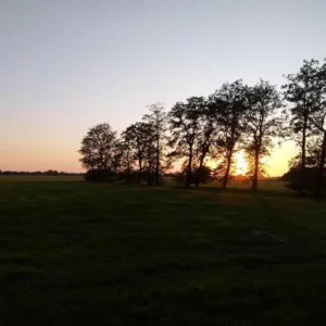 Uitzicht-WeidsZicht